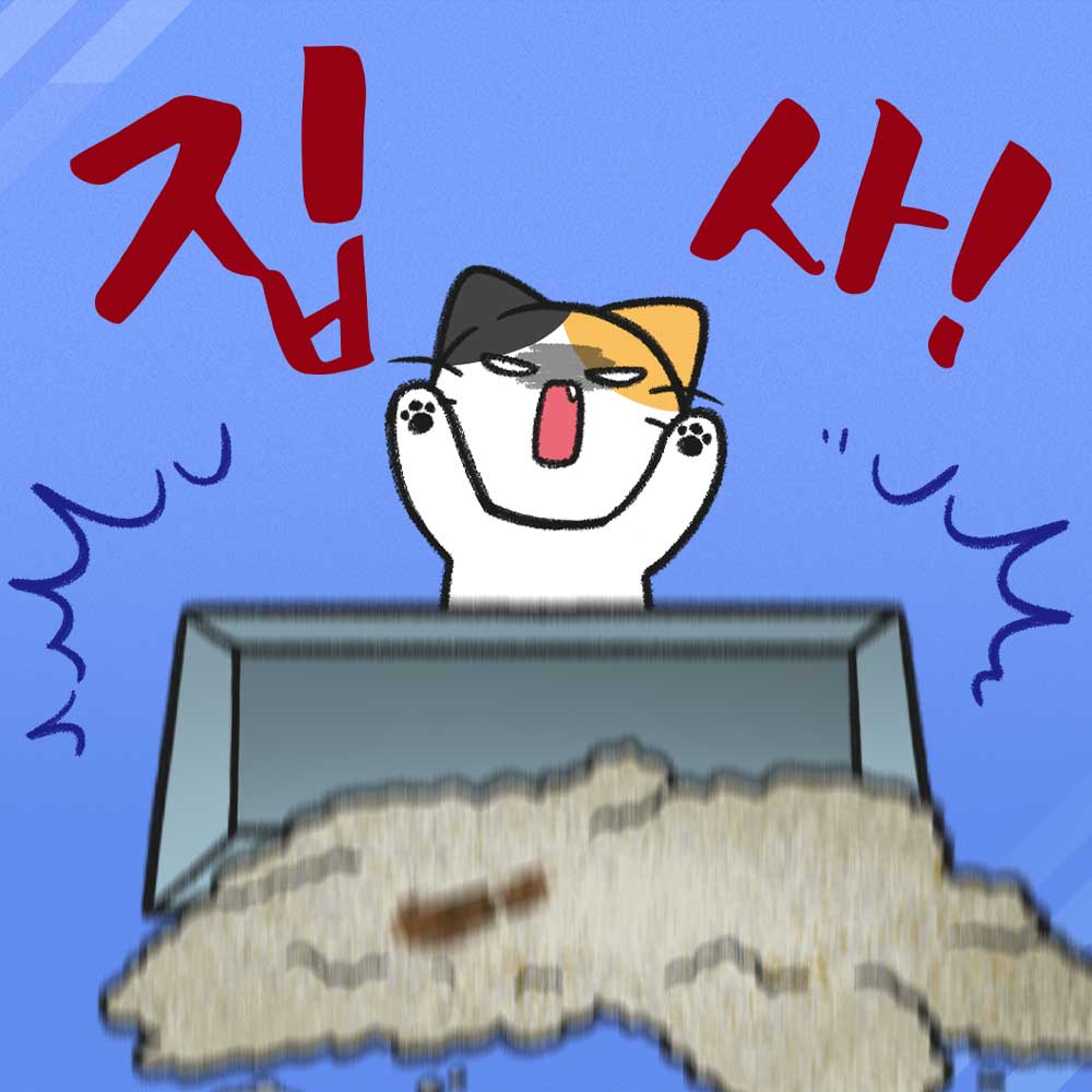 펫몽 영상 마케팅