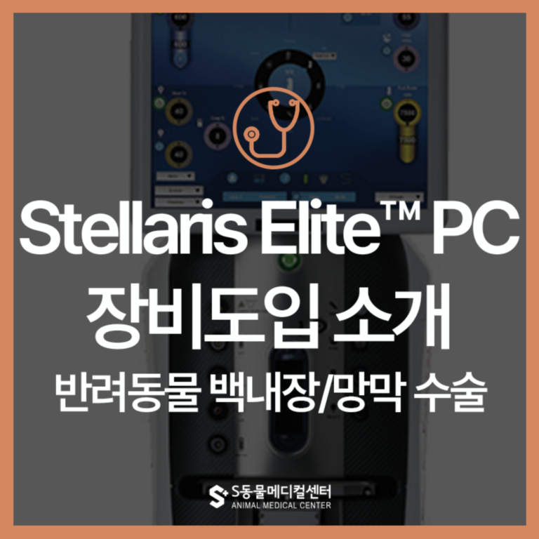 고양이 강아지 백내장 수술부터 망막 수술까지, Stellaris Elite™ 도입 – 울산 안과 전문 동물병원