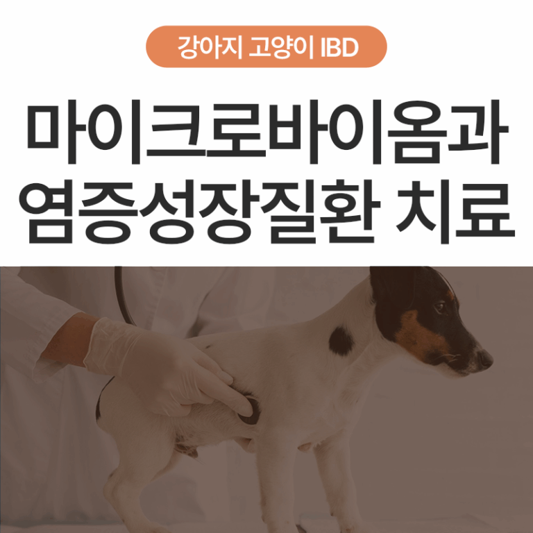 [STOP!🚫 스테로이드] 강아지 고양이 만성 장염 치료 (IBD/CE), 마이크로바이옴에 대한 이해와 치료 방법 – 울산 에스동물메디컬센터