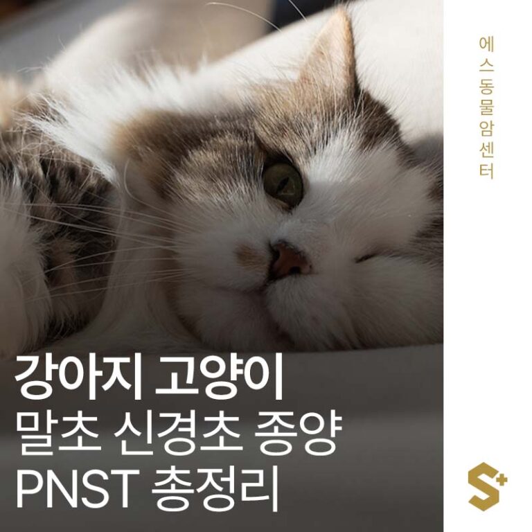 강아지 고양이 신경 종양 – 말초 신경초 종양(PNST) 총정리 – 부산 양산 에스동물암센터