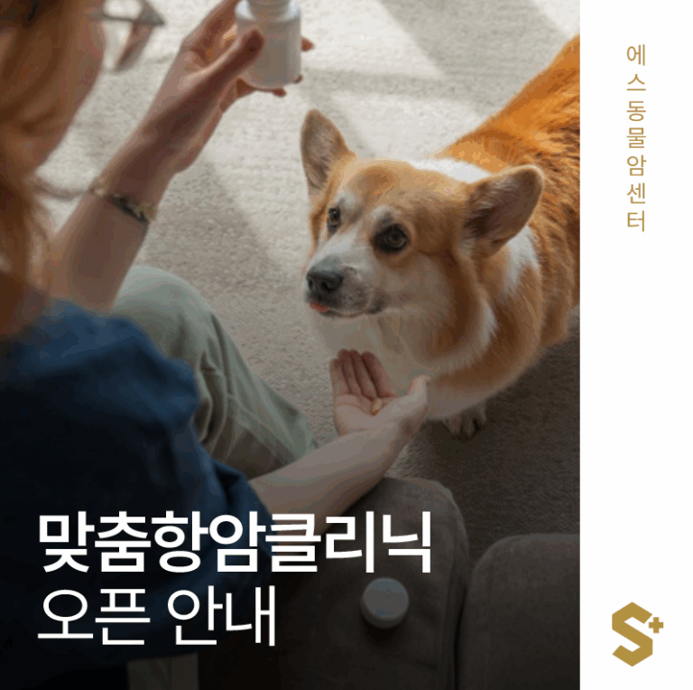 강아지, 고양이 아이들마다 잘 맞는 항암제를 선택할 수 있다고요? 반려동물 항암 치료의 새로운 혁신 _ 에스동물암센터 맞춤항암클리닉 오픈