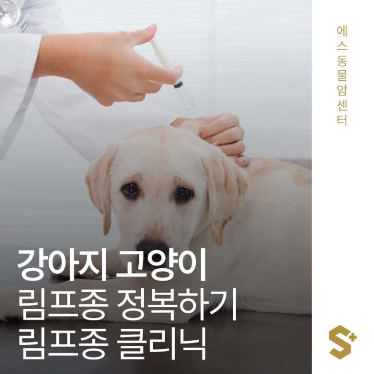 강아지 고양이 림프종 정복하기, 림프종 클리닉 – 에스동물암센터