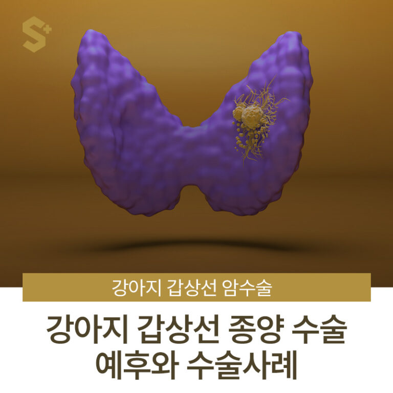 강아지 갑상선암 수술, 종양 수술 후 예후와 실제 수술 사례 – 부산 양산 에스동물암센터
