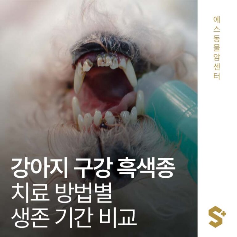 강아지 구강 흑색종, 치료 방법별 생존 기간 비교 – 수술 vs 방사선 vs 항암·면역치료