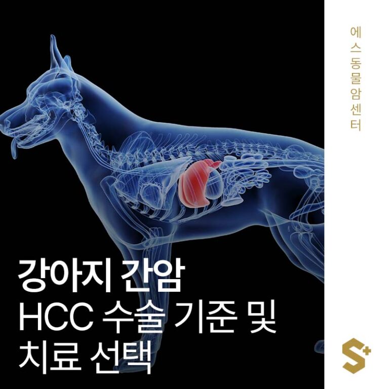 강아지 간암, 우리 아이 수술 가능할까요? 수술이 어렵다면 선택할 수 있는 치료법 – 부산·양산·울산 동물병원 에스동물암센터