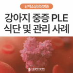 [STOP!🚫스테로이드] 알부민 수치 1.0, 강아지 중증 PLE 관리 사례 (식단 관리 포함)