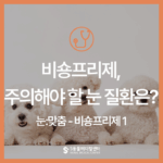 [눈:맞춤 – 비숑프리제 1] 비숑프리제 주의해야 할 눈 질환은?