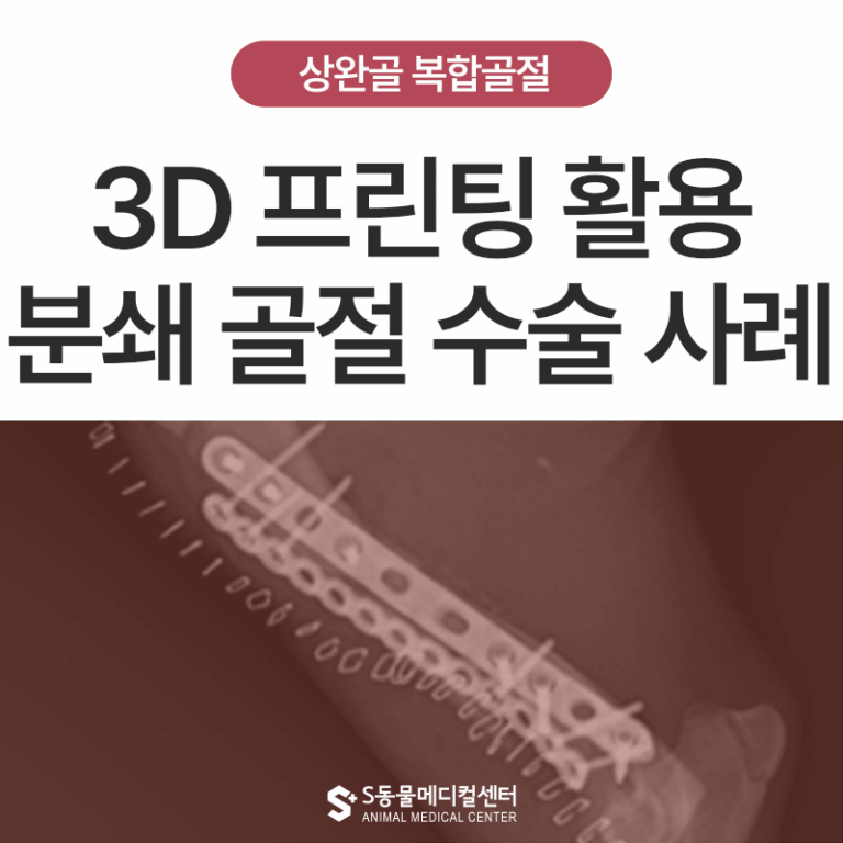구조 강아지 상완골 복합 골절 수술 후 회복 사례 | 3D 프린팅 활용