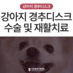 강아지가 걸을 때 앞다리가  뒤집어져요 경추디스크 수술 및 재활치료