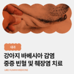 강아지 바베시아 감염증, 중증 빈혈과 췌장염까지｜응급 수혈 및 집중 치료 사례