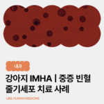 강아지 IMHA 치료 사례｜HCT 17% 중증 빈혈, 줄기세포 치료로 회복된 후기