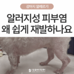 강아지 알레르기·알러지성 피부염, 아이가 자꾸 긁어요