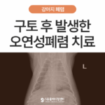 강아지 오연성 폐렴(Aspiration Pneumonia) 응급 치료 사례, 구토 후 갑자기 숨이 가빠졌다면?