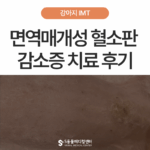 강아지 피부 반점, 면역 매개성 혈소판 감소증 치료 케이스