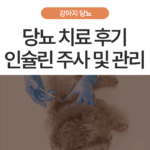 강아지 당뇨 치료 후기 | 인슐린 치료만으로 충분할까? ‘맞춤형 통합 관리’가 필요합니다