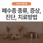 [강아지 폐수종 1편] 폐수종이란? 폐수종 종류, 증상, 진단, 치료방법