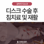 강아지 디스크 수술 후 침치료와 재활까지, 11살 말티즈 강아지 침치료 후기