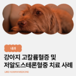 신부전증 강아지 고칼륨혈증 증상과 원인, 저알도스테론혈증 치료 케이스