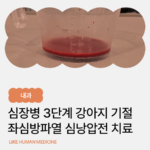 심장병 강아지, 흥분할 때마다 기절한다면? 좌심방파열·심낭압전 진단과 심낭 천자술 사례- 양산 노령동물 전문 동물병원