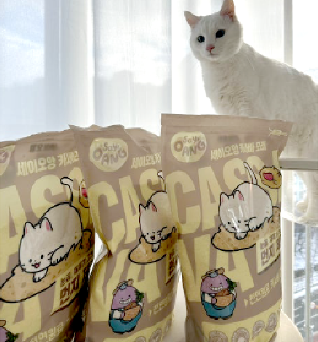 고양이 카사바 모래 추천 후기