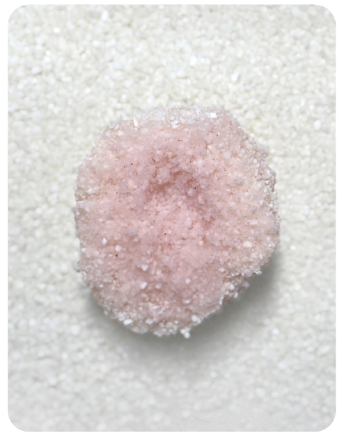 무색소 카사바 모래 위 소변 색 변화가 보이는 응고 예시