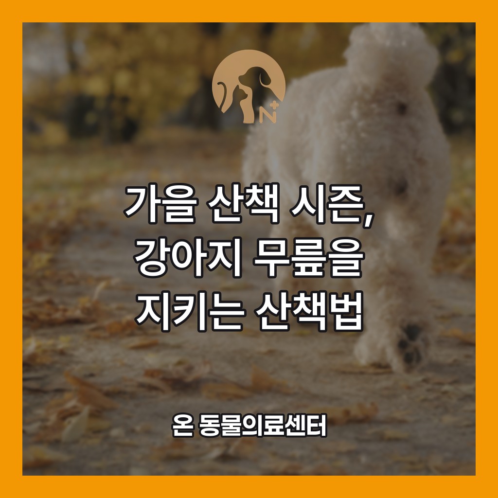 가을 산책 시즌, 강아지 무릎을 지키는 산책법 - 온 동물의료센터