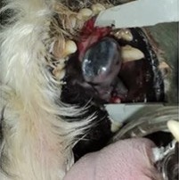 360E9958-948F-4B95-A340-DF2758546C65_4_5005_c