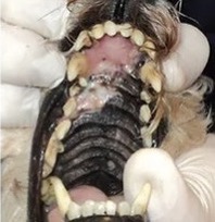 360E9958-948F-4B95-A340-DF2758546C65_4_5005_c