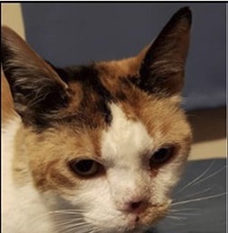 0C26E062-1800-4860-AE59-8667B9459986_4_5005_c