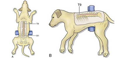 디스크 위치 이미지