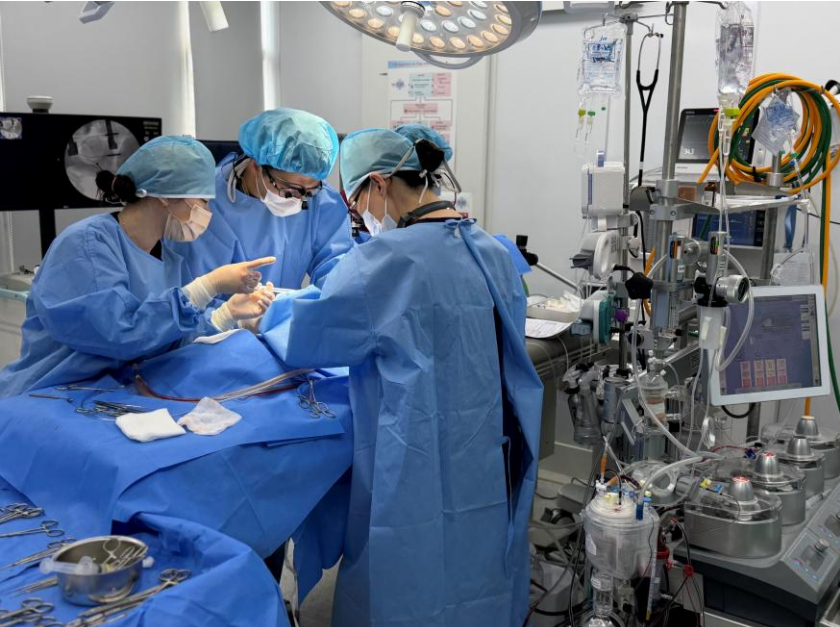 심장외과 전문 수술팀의 개심술 집도 현장