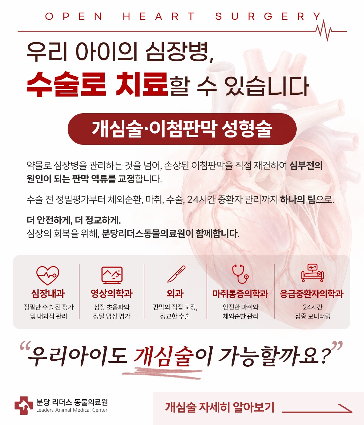 개심술·이첨판막 성형술 안내