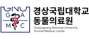 협력 병원 로고 5