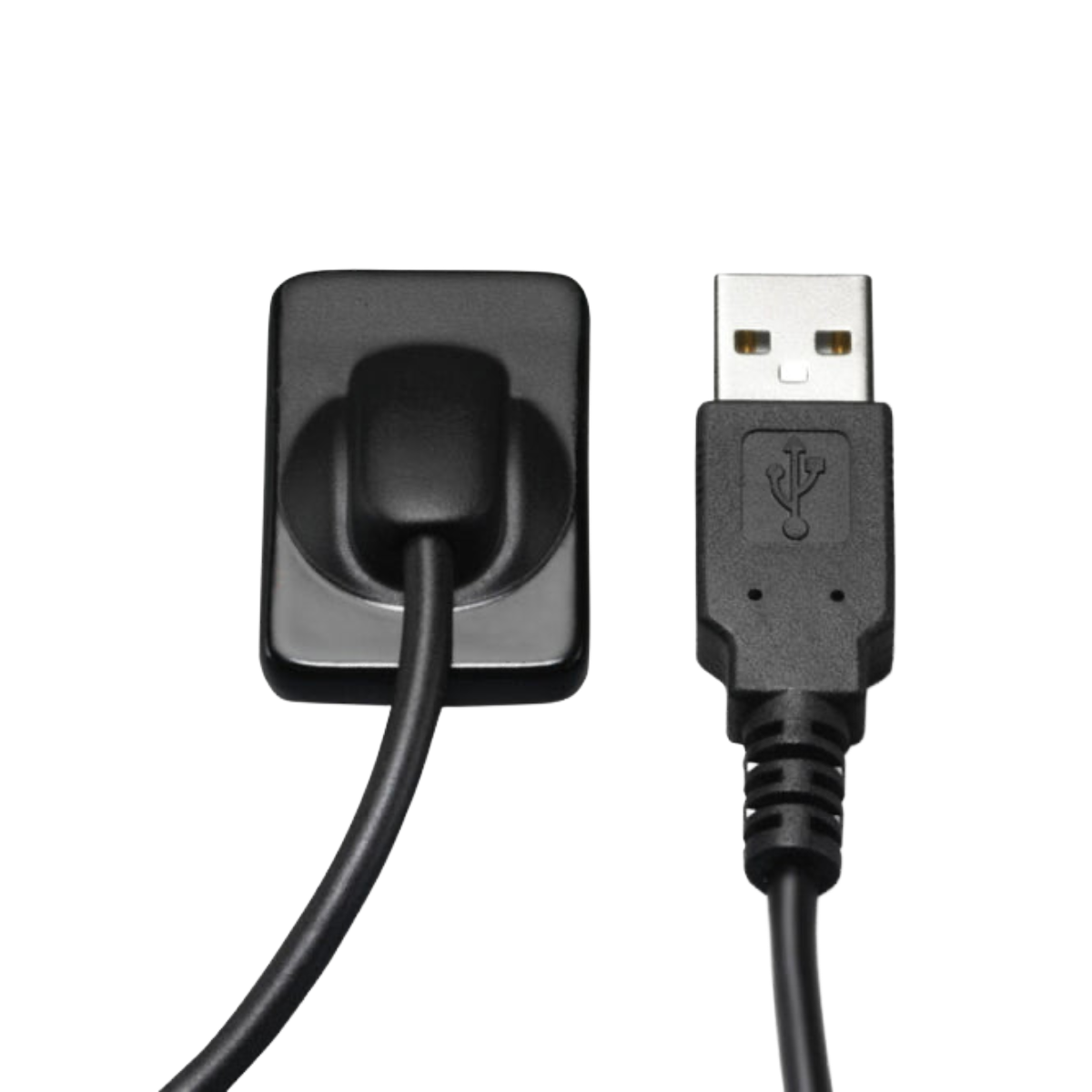 디지털 치과 디렉터