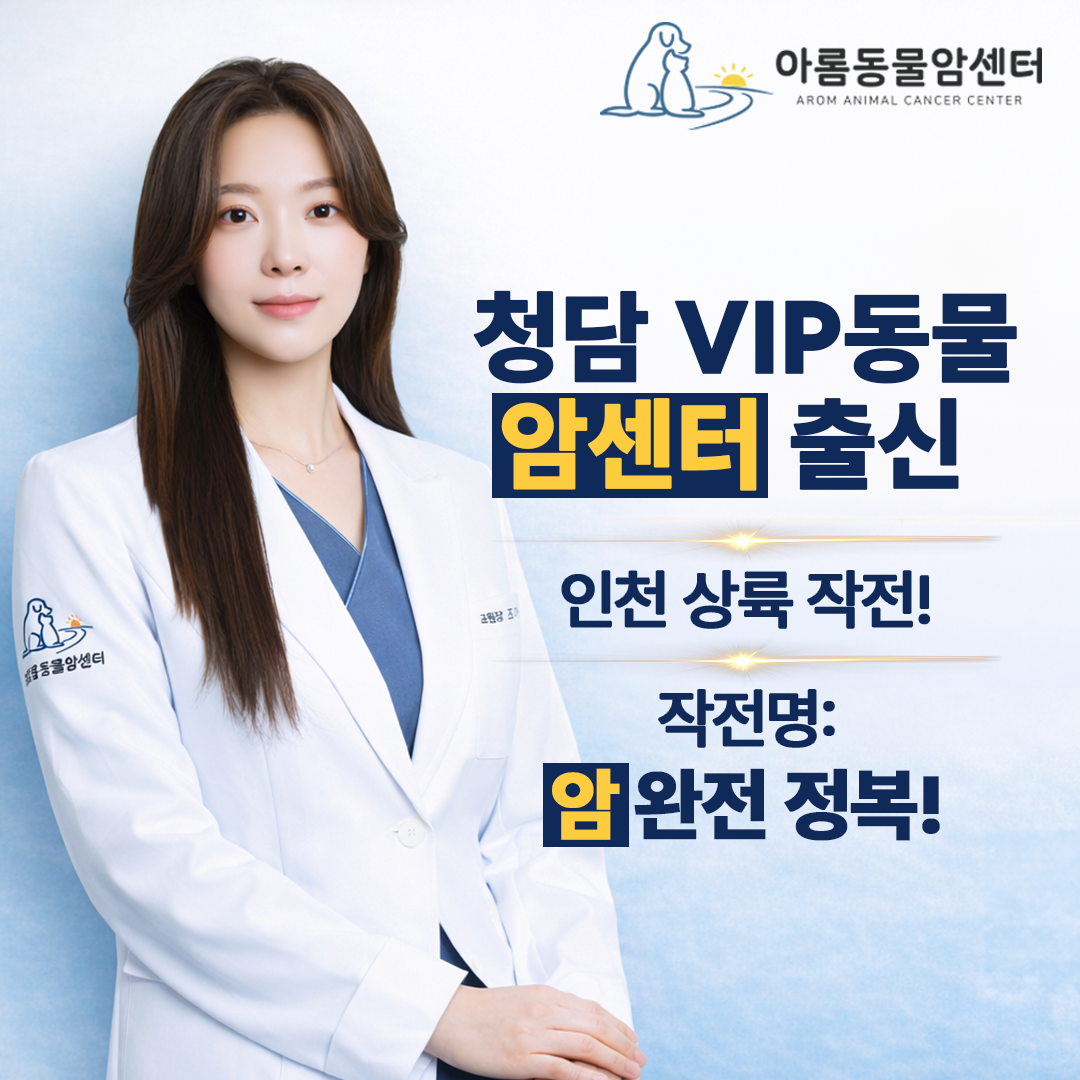 청담 VIP동물암센터 출신 조아롬 원장 인천 상륙 작전