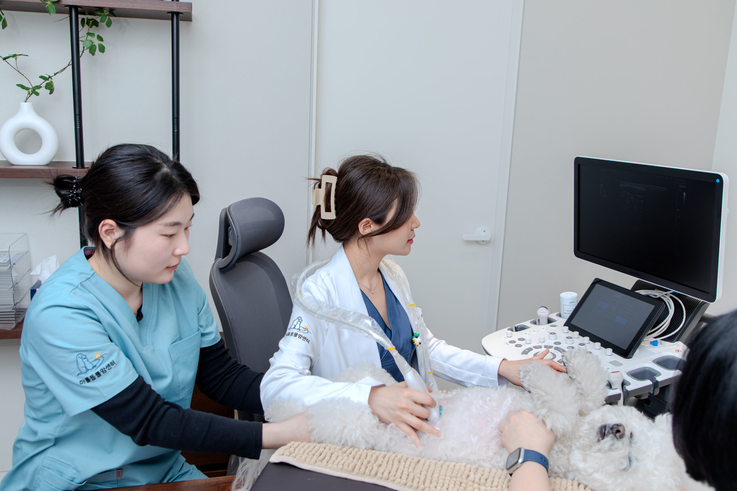 오진 없는 정밀한 검사