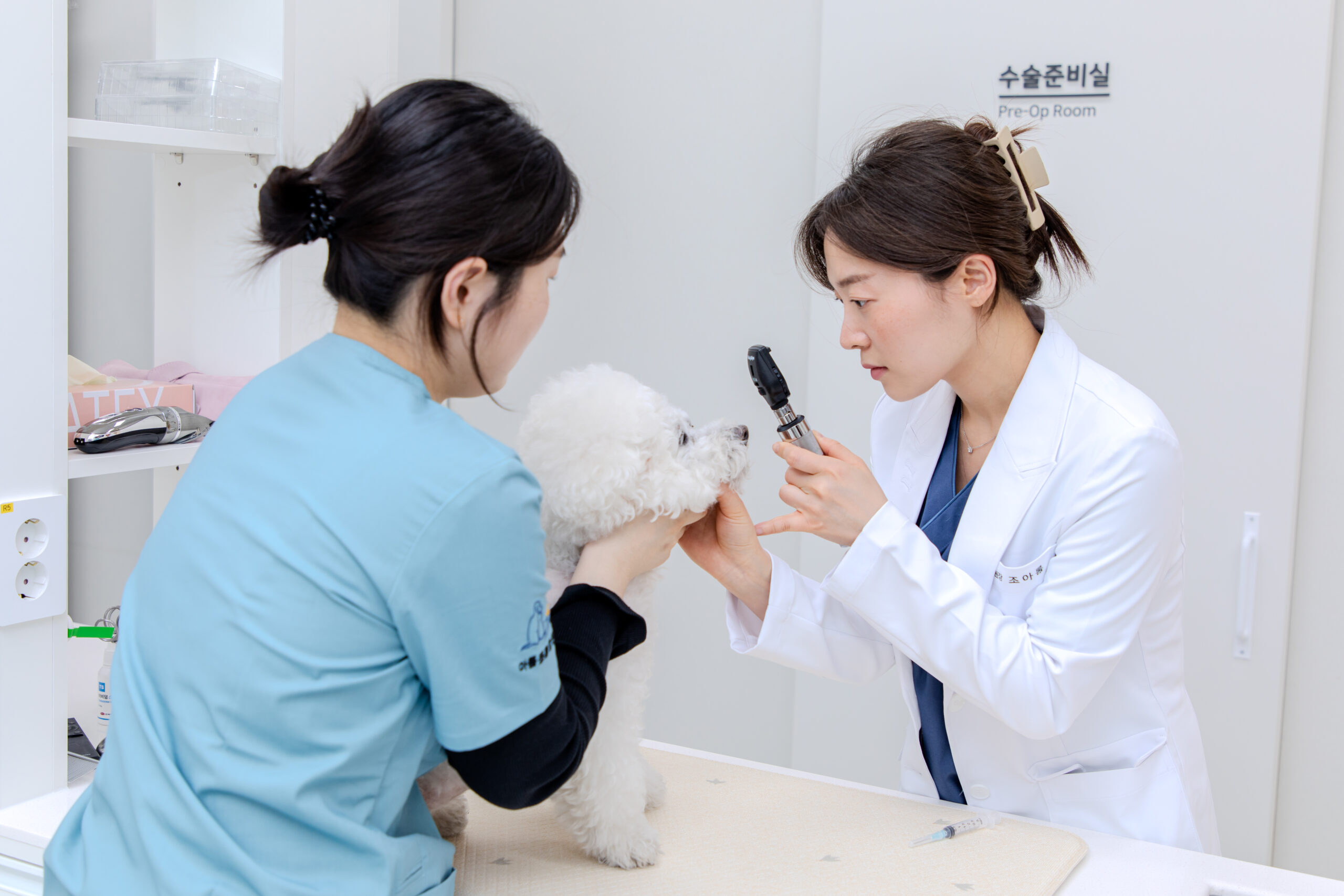 정확하고 신속한 세포 판독