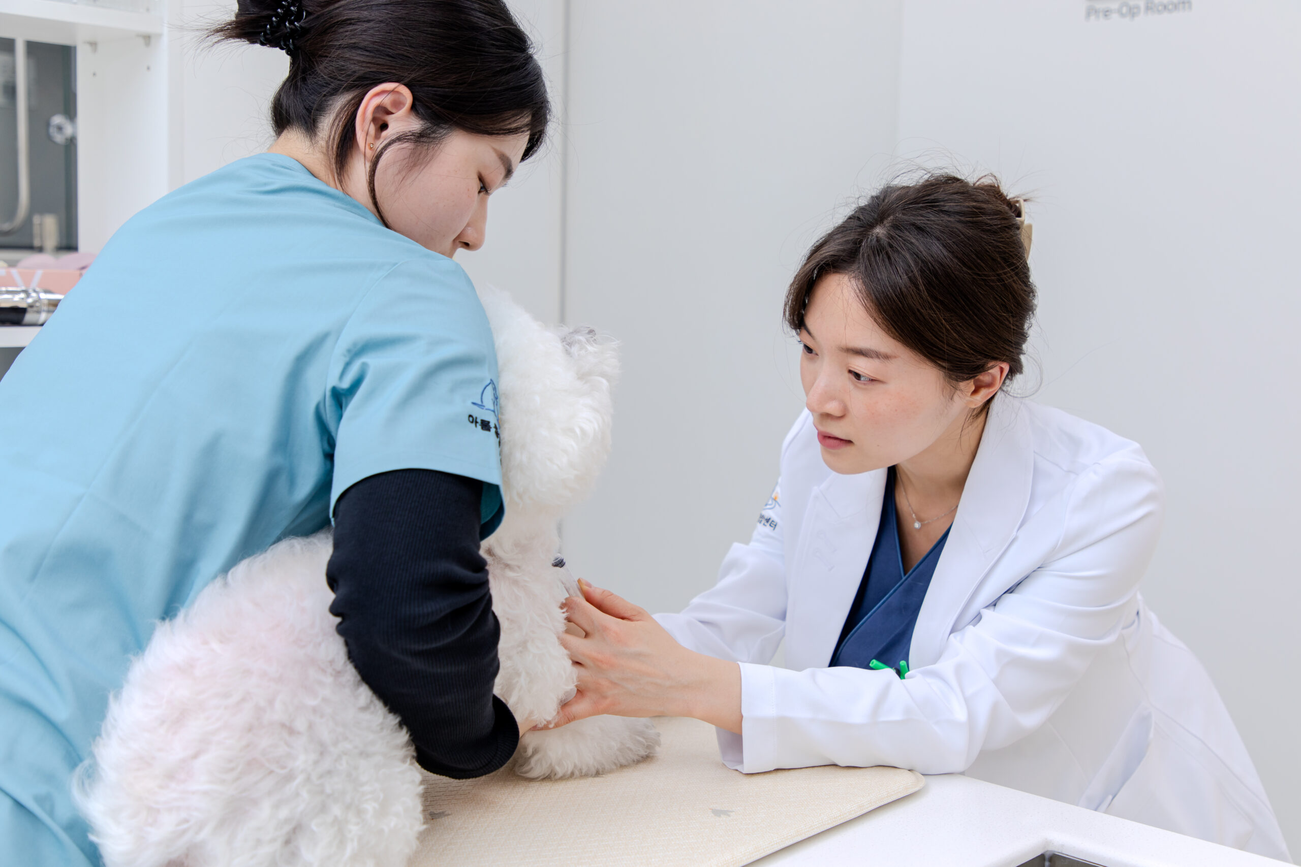 노령 환자 맞춤형 안전한 검사