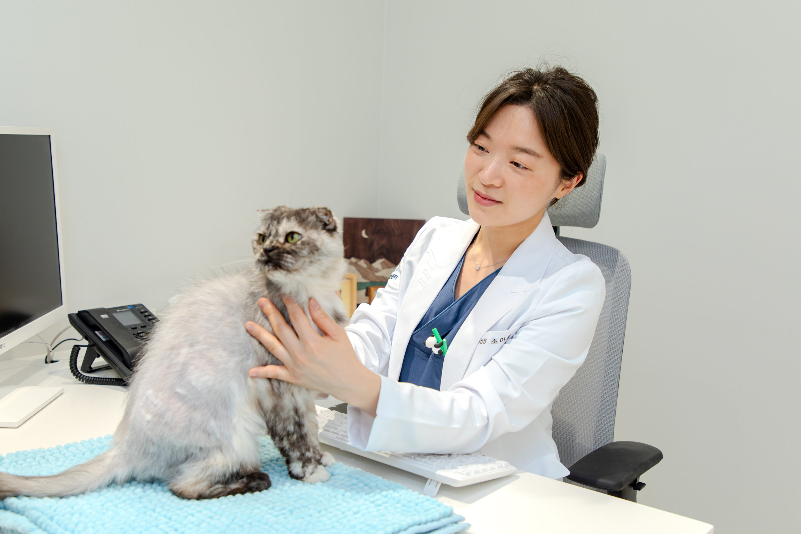 독립된 고양이 전용 대기 구역