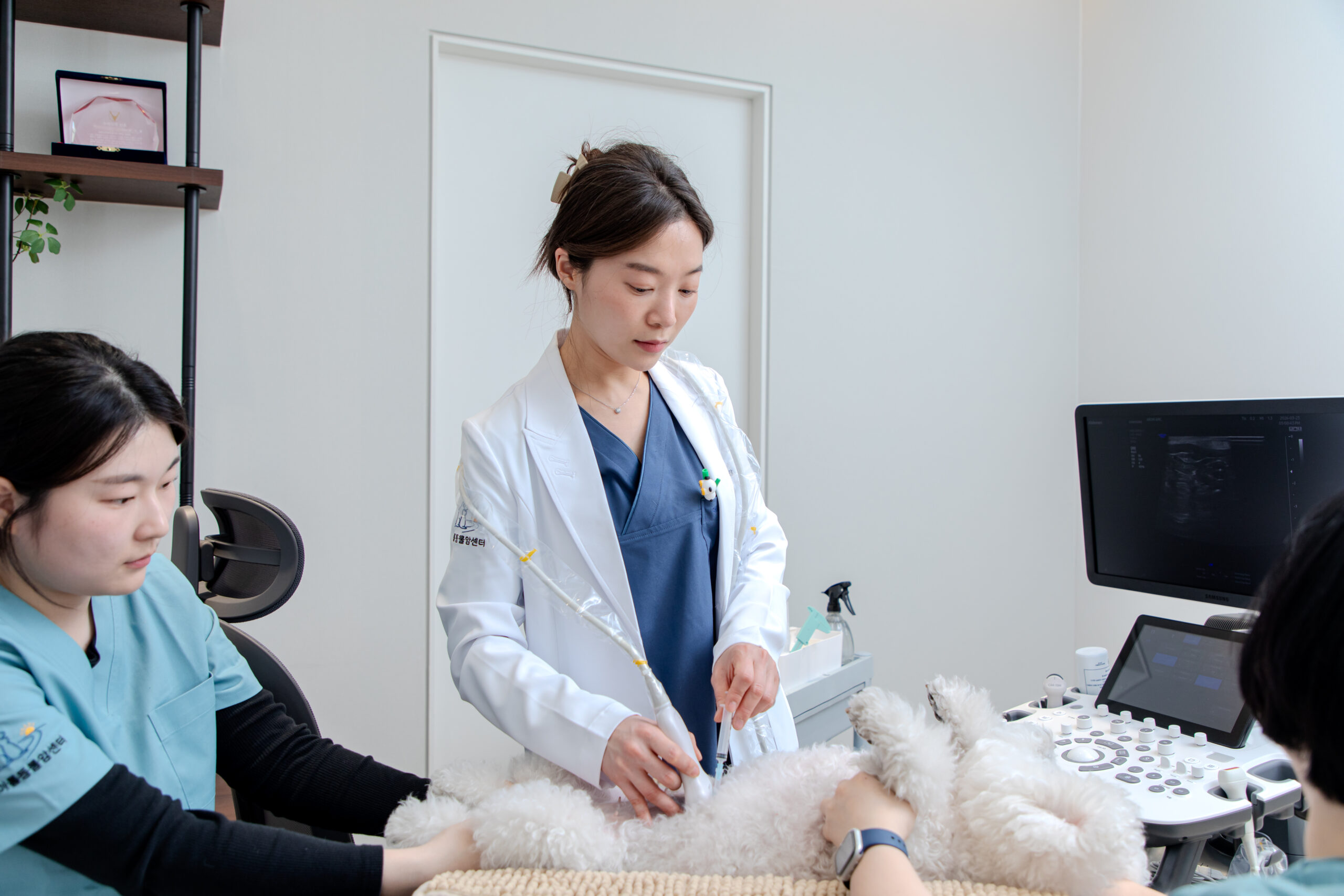 복합 질환 통합 관리