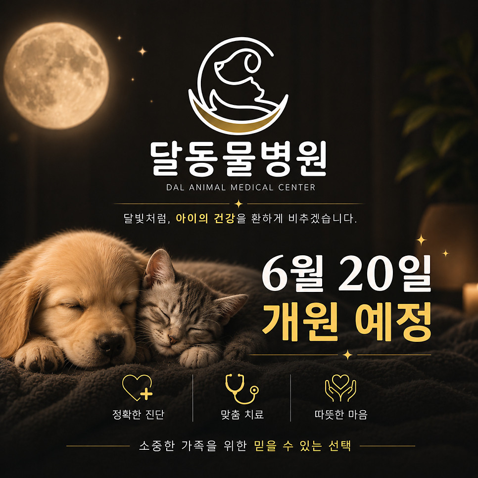 달동물병원 개원 안내
