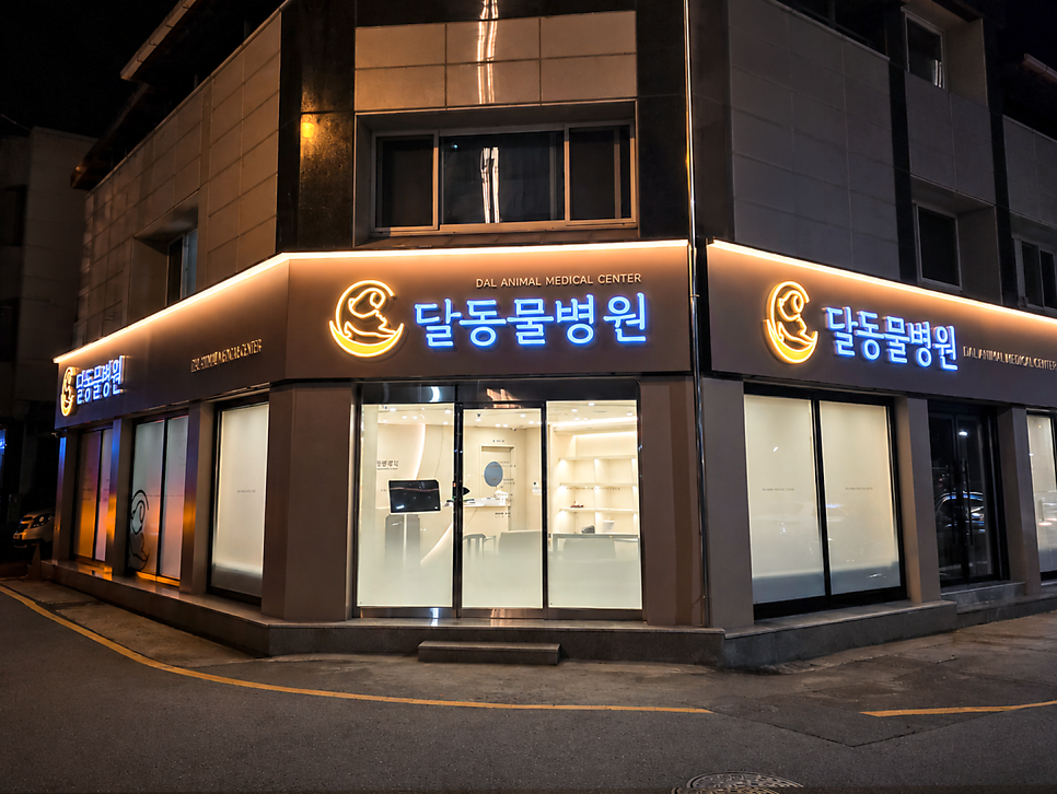 달동물병원 개원 안내