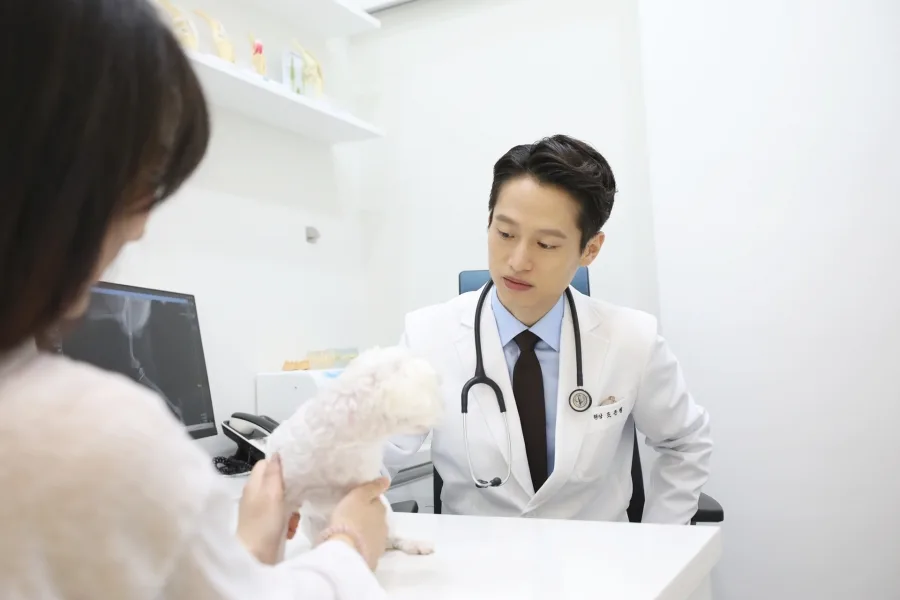 채움동물의료센터 조은철 원장이 보호자와 함께 강아지를 진료하는 모습