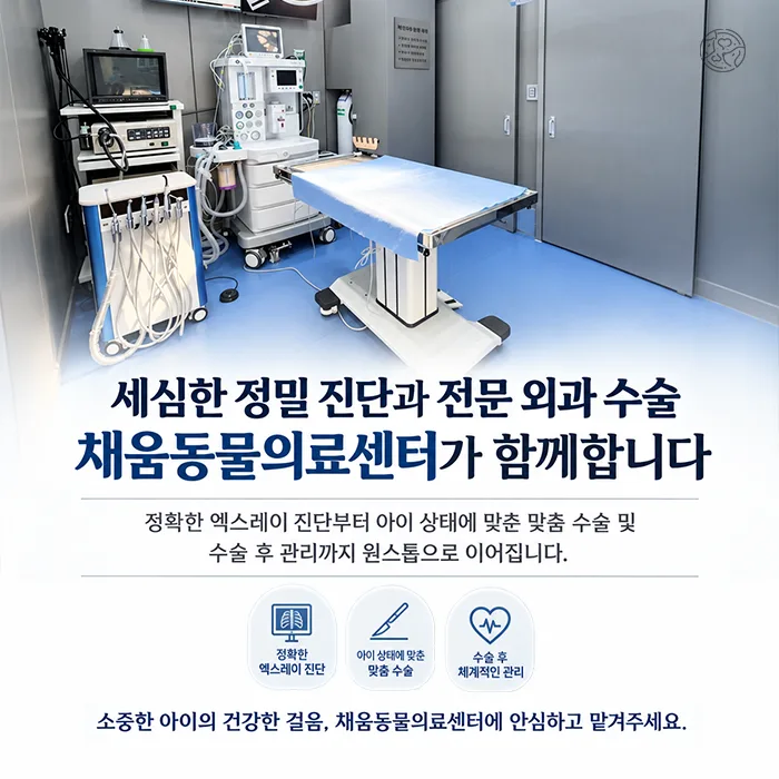 세심한 정밀 진단과 전문 외과 수술, 채움동물의료센터