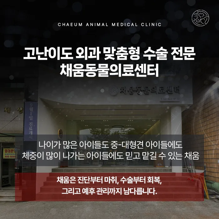 고난이도 외과 맞춤형 수술 전문 채움동물의료센터 안내