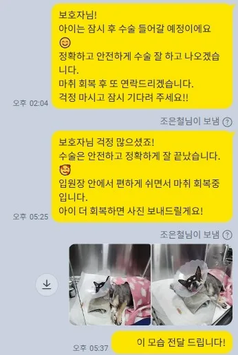 수술 당일 보호자에게 수술과 회복 상황을 전한 메시지