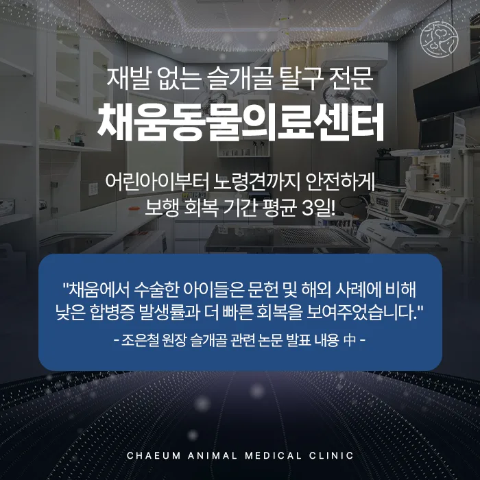 슬개골 탈구 수술 전문 채움동물의료센터 안내