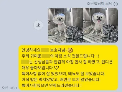 수술 다음 날 아침 보호자에게 회복 상태를 전한 메시지