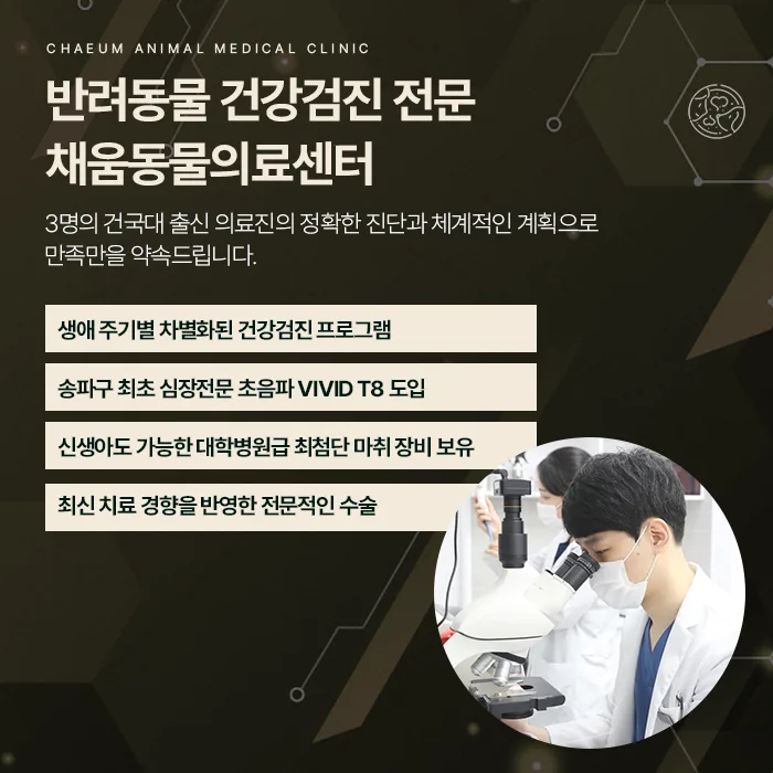 반려동물 건강검진 채움동물의료센터 안내