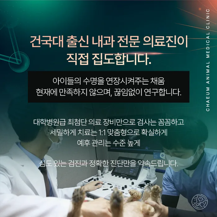건국대 출신 내과 전문 의료진 안내